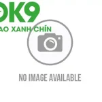 gtxrmzpwcaapc0o 170504